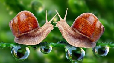 實力圈粉的泰國品牌樂絲汀，你被圈粉了嗎？