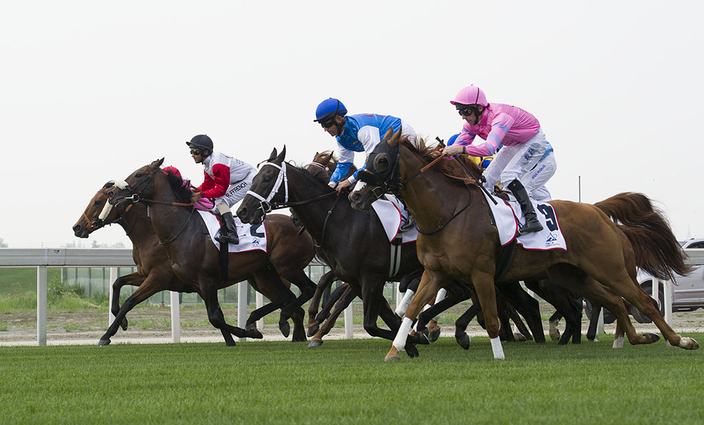2014中國(guó)成都-溫江迪拜國(guó)際杯賽馬經(jīng)典賽金激情上演