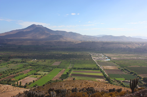 美好初春，讓我們喝一杯優(yōu)雅精致的黑皮諾