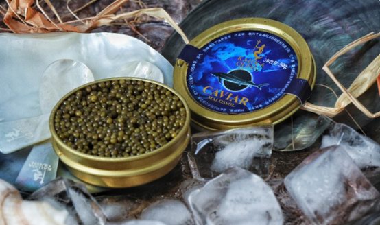 從肌膚到唇齒，魚子醬帶來(lái)由內(nèi)至外、一匙千金的高奢體驗(yàn)